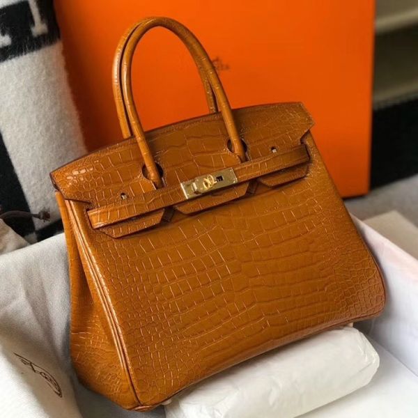 Birkin 25 crocodile top
