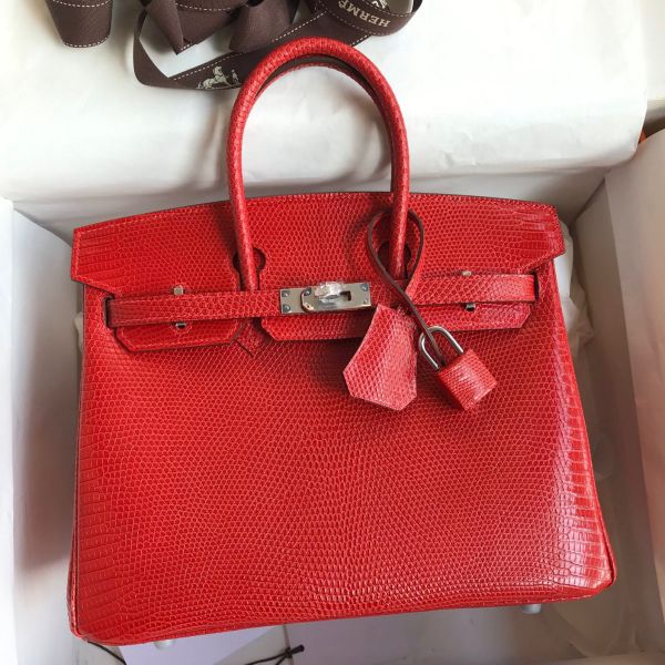 Birkin lizard bag best sale