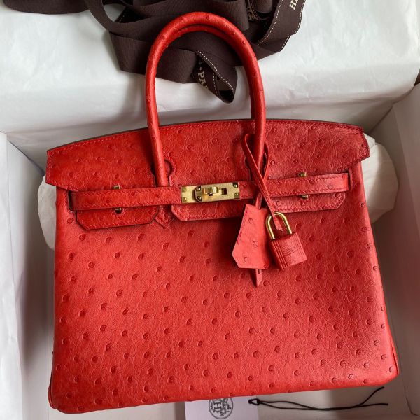 Red birkin bag hotsell