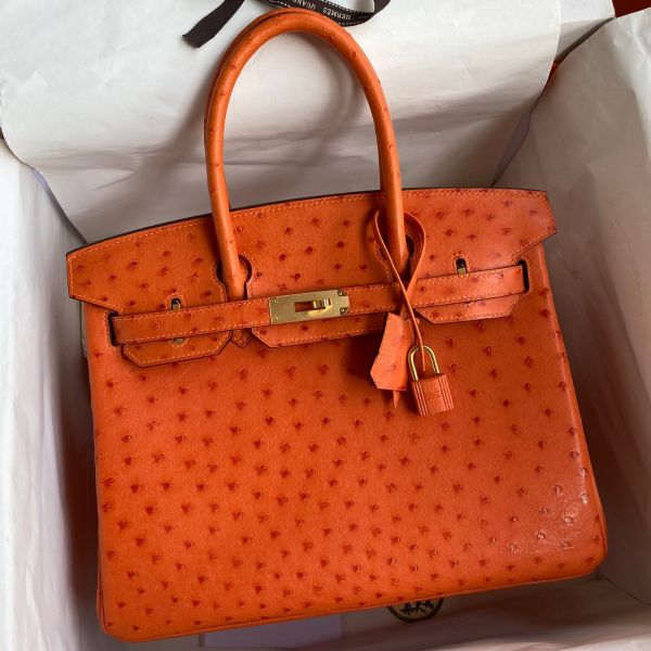 Birkin 30 orange shop