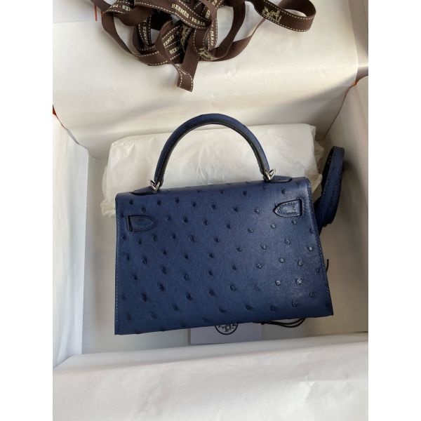 Hermes blue iris ostrich 2025