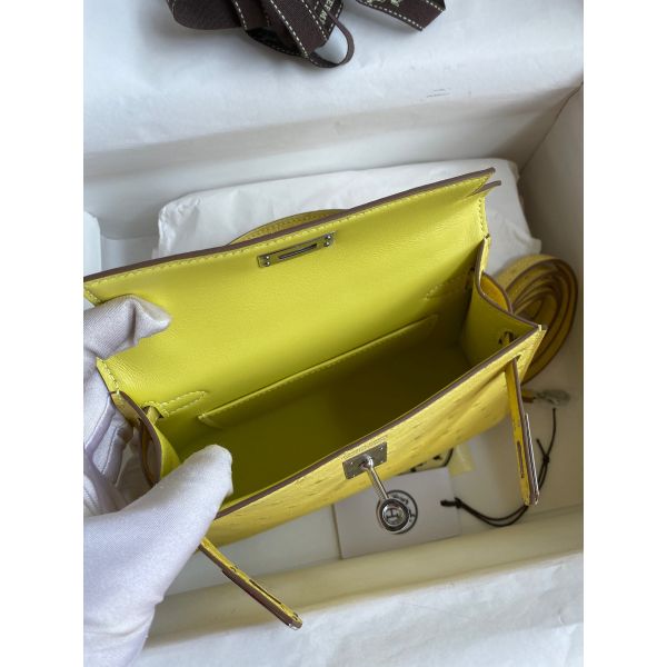 Hermes lime kelly online