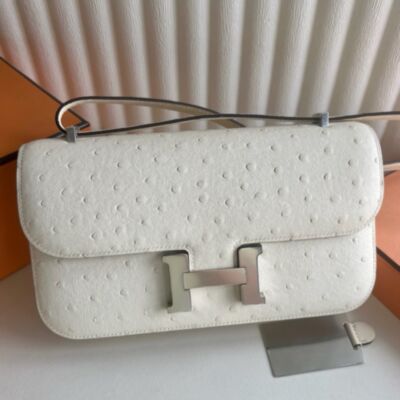 Hermes Constance Elan 23 Handmade Bag in Nata Ostrich Leather