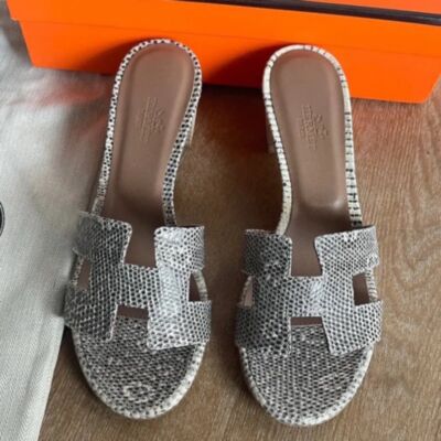 Hermes Oasis Sandals in Ombre Lizard Skin
