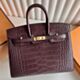 Hermes Birkin 20 Sellier Bag in Havane Matte Alligator Crocodile