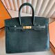 Hermes Birkin 20 Sellier Bag in Vert Cypres Lizard Leather