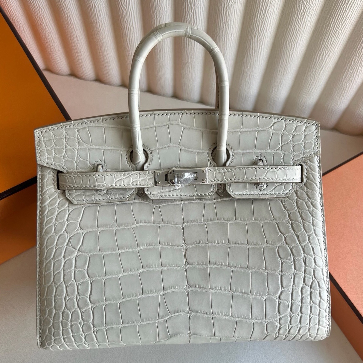 Hermes Birkin 20 Sellier Bag in Beton Matte Alligator Crocodile