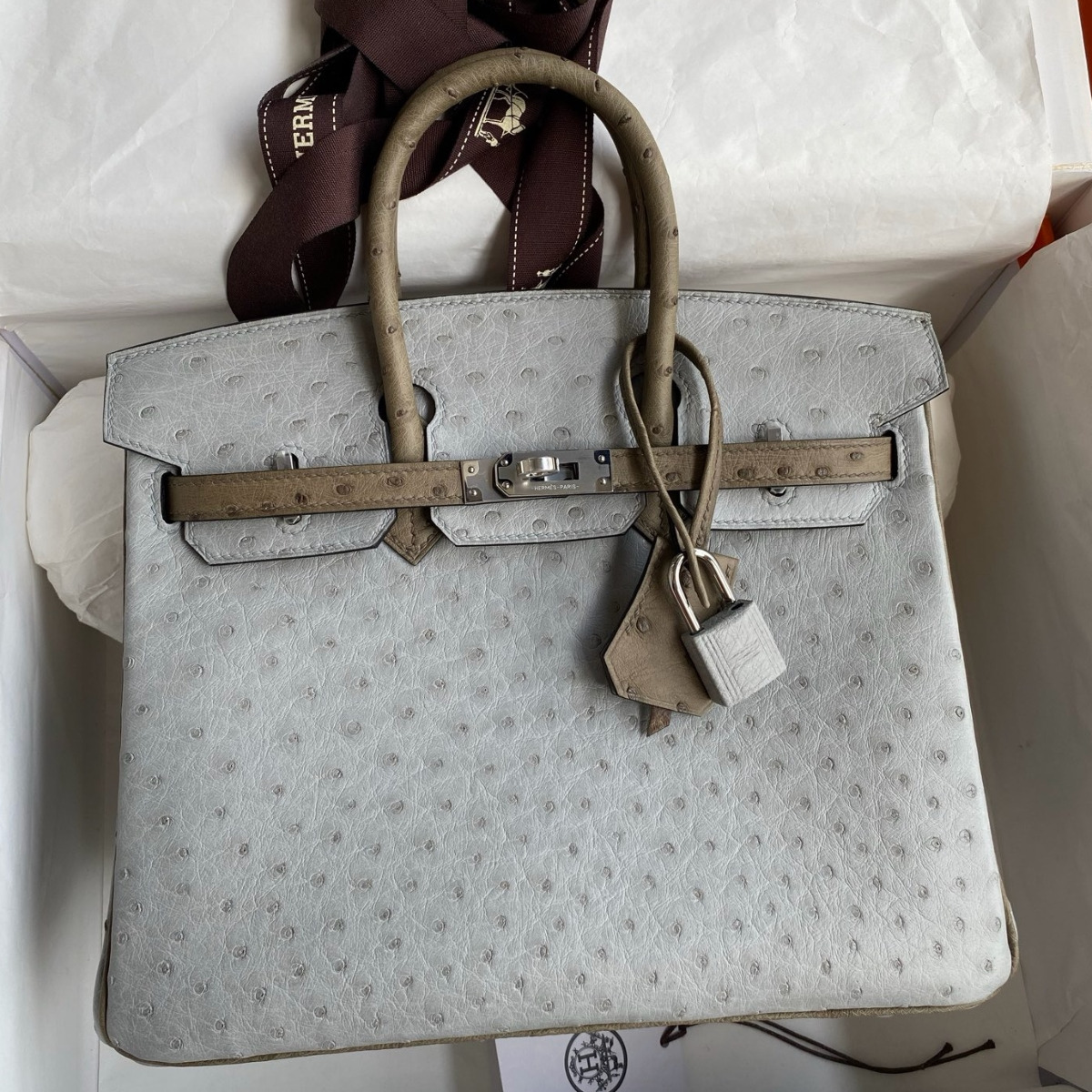 Hermes Birkin 25 HSS Retourne Bag in Blue Glacier and Gris Tourterelle Ostrich Leather