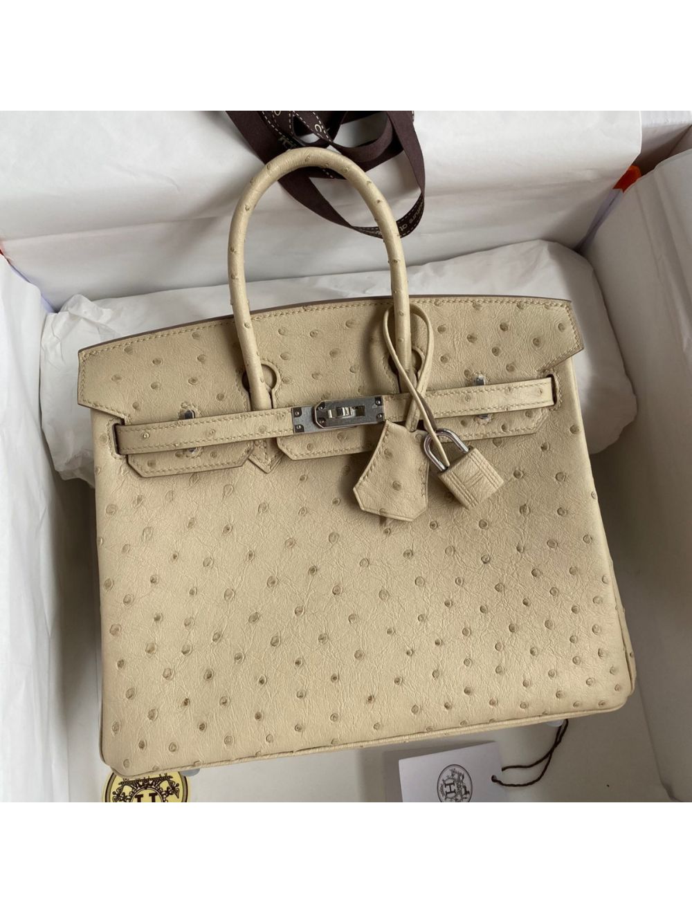 Replica Hermes Birkin 25 Retourne Handmade Bag In Parchemin Ostrich Leather