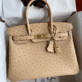 Review of Extremely Rare Hermes Birkin Ostrich Parchemin 35 Bag