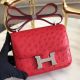 Hermes Constance 18 Handmade Bag In Red Ostrich Leather